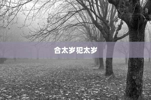 合太岁犯太岁