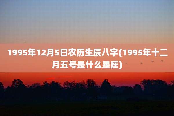 1995年12月5日农历生辰八字(1995年十二月五号是什么星座)