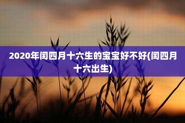 2020年闰四月十六生的宝宝好不好(闰四月十六出生)