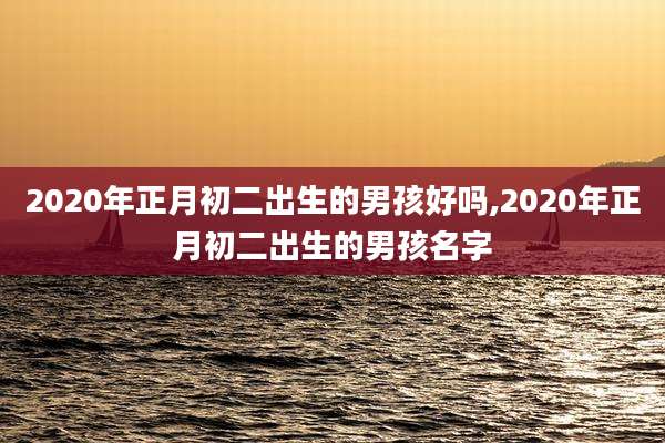 2020年正月初二出生的男孩好吗,2020年正月初二出生的男孩名字