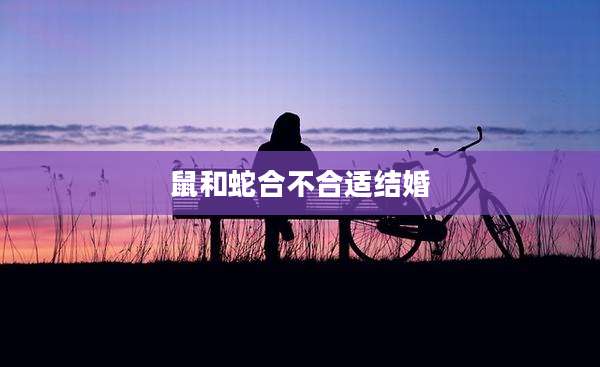 鼠和蛇合不合适结婚