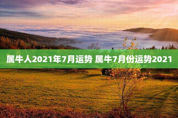属牛人2021年7月运势 属牛7月份运势2021
