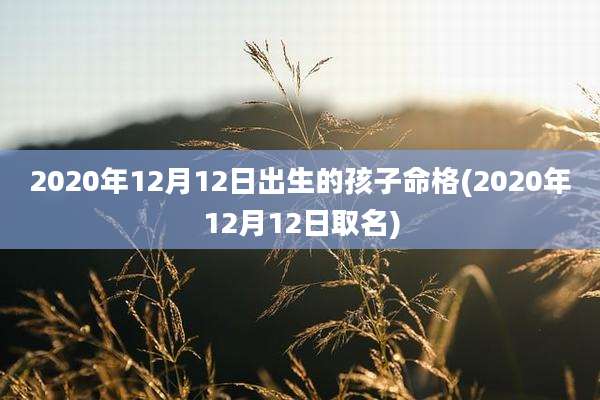 2020年12月12日出生的孩子命格(2020年12月12日取名)