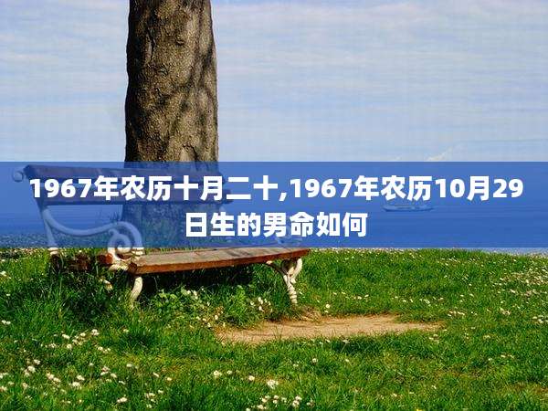 1967年农历十月二十,1967年农历10月29日生的男命如何
