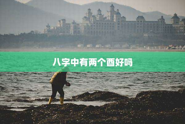 八字中有两个酉好吗