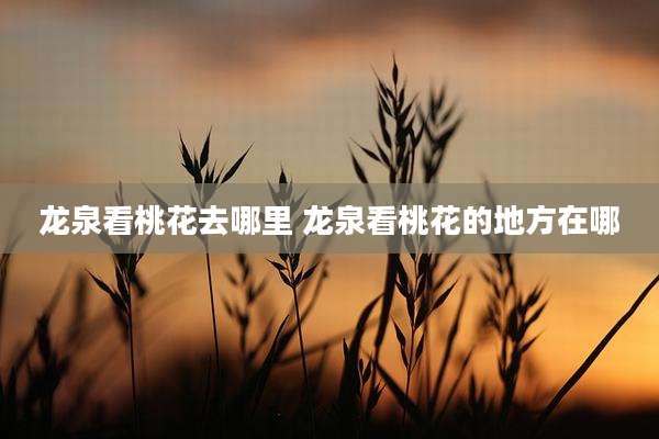 龙泉看桃花去哪里 龙泉看桃花的地方在哪