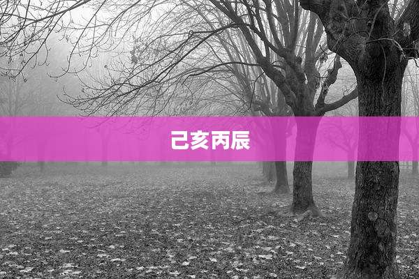 己亥丙辰