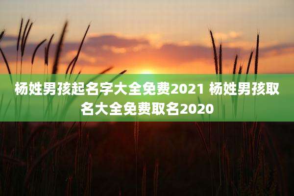 杨姓男孩起名字大全免费2021 杨姓男孩取名大全免费取名2020
