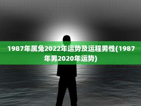 1987年属兔2022年运势及运程男性(1987年男2020年运势)