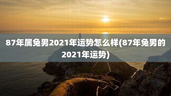 87年属兔男2021年运势怎么样(87年兔男的2021年运势)
