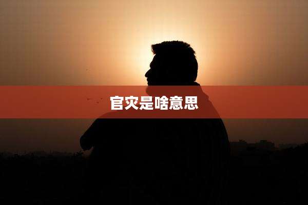 官灾是啥意思