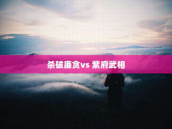 杀破廉贪vs 紫府武相
