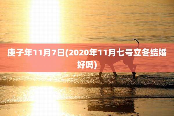 庚子年11月7日(2020年11月七号立冬结婚好吗)