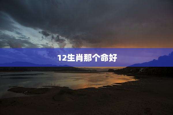 12生肖那个命好
