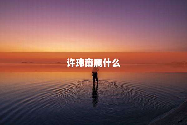 许玮甯属什么