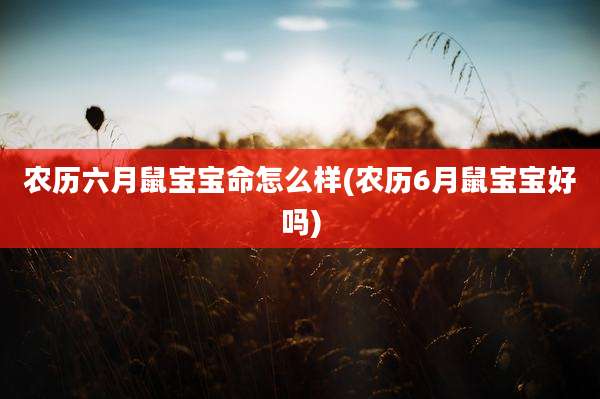 农历六月鼠宝宝命怎么样(农历6月鼠宝宝好吗)