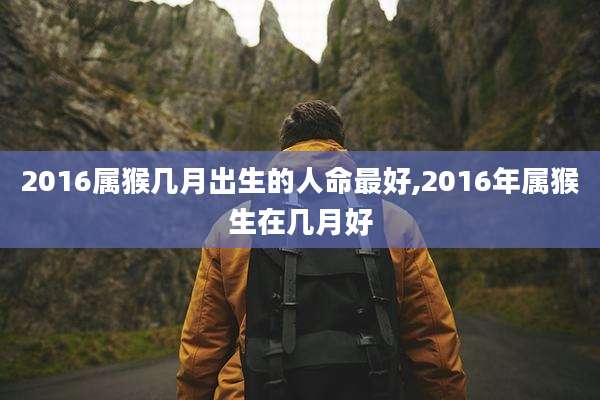 2016属猴几月出生的人命最好,2016年属猴生在几月好