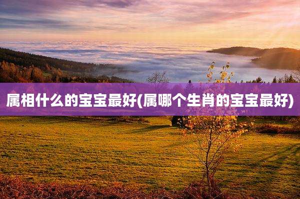 属相什么的宝宝最好(属哪个生肖的宝宝最好)