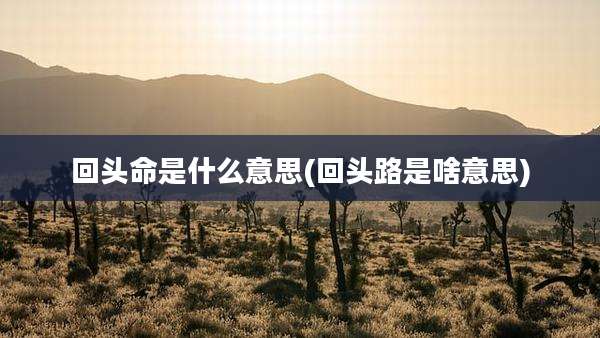 回头命是什么意思(回头路是啥意思)