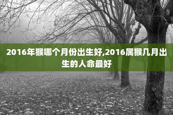 2016年猴哪个月份出生好,2016属猴几月出生的人命最好