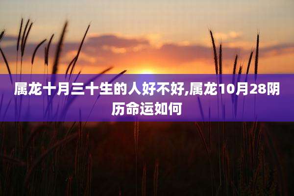 属龙十月三十生的人好不好,属龙10月28阴历命运如何