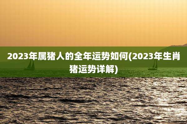 2023年属猪人的全年运势如何(2023年生肖猪运势详解)