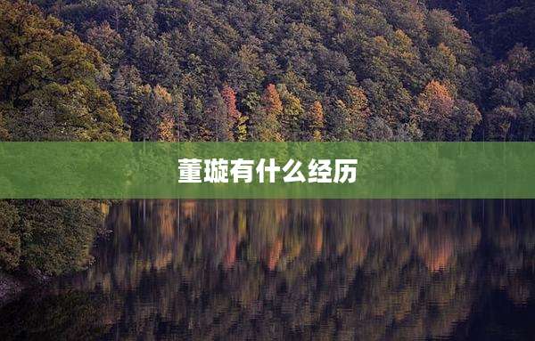 董璇有什么经历