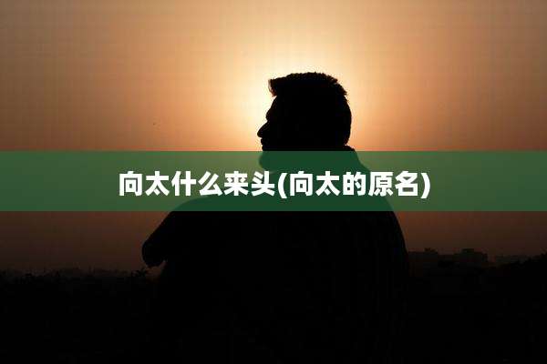 向太什么来头(向太的原名)