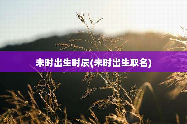 未时出生时辰(未时出生取名)