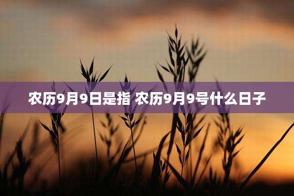 农历9月9日是指 农历9月9号什么日子
