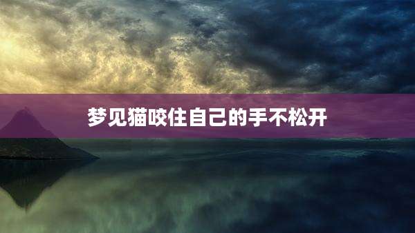 梦见猫咬住自己的手不松开