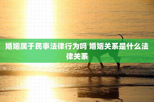 婚姻属于民事法律行为吗 婚姻关系是什么法律关系