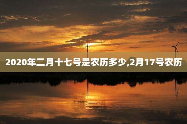 2020年二月十七号是农历多少,2月17号农历