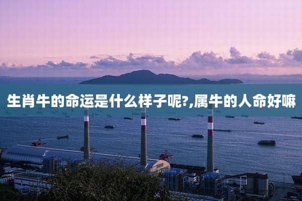 生肖牛的命运是什么样子呢?,属牛的人命好嘛