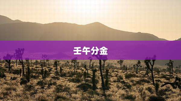 壬午分金