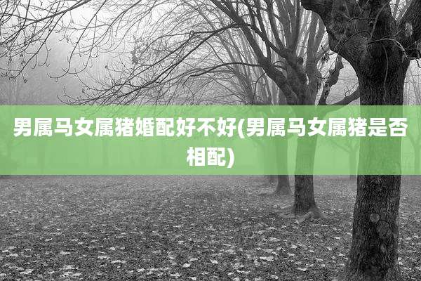 男属马女属猪婚配好不好(男属马女属猪是否相配)