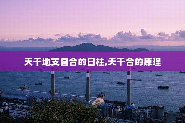 天干地支自合的日柱,天干合的原理