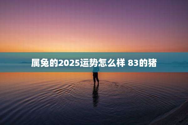 属兔的2025运势怎么样 83的猪