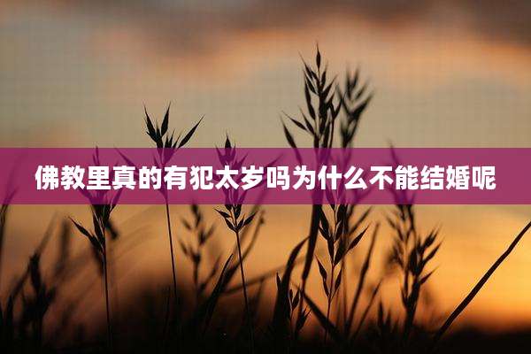 佛教里真的有犯太岁吗为什么不能结婚呢
