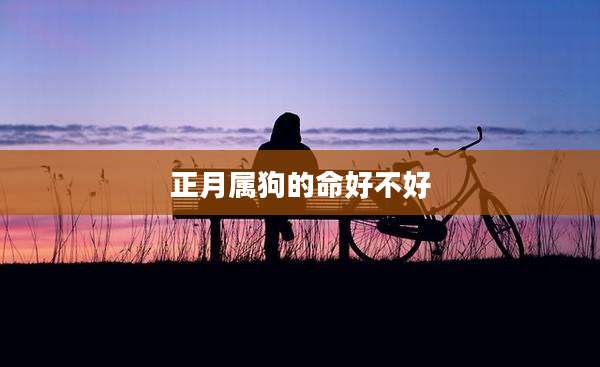 正月属狗的命好不好