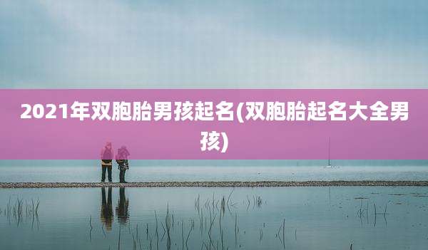2021年双胞胎男孩起名(双胞胎起名大全男孩)