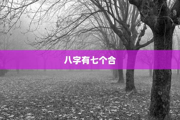 八字有七个合