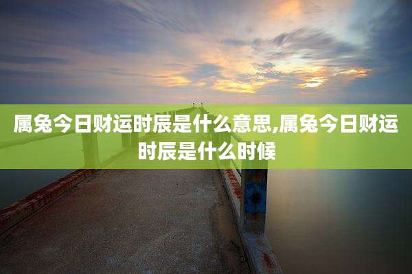 属兔今日财运时辰是什么意思,属兔今日财运时辰是什么时候