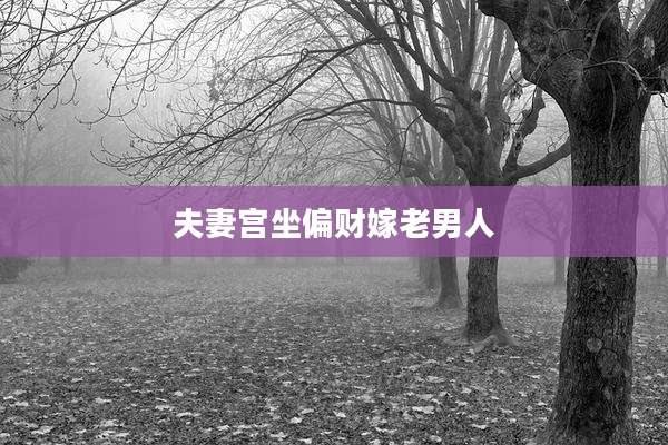 夫妻宫坐偏财嫁老男人
