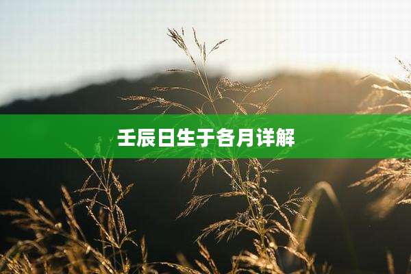 壬辰日生于各月详解