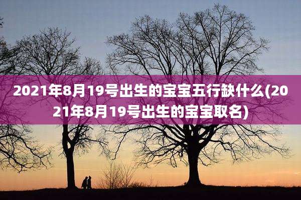 2021年8月19号出生的宝宝五行缺什么(2021年8月19号出生的宝宝取名)