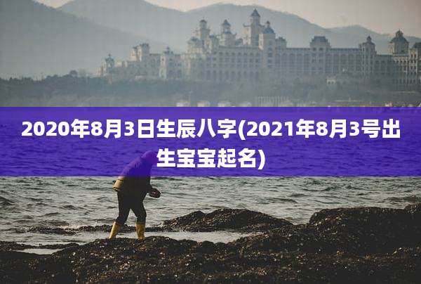 2020年8月3日生辰八字(2021年8月3号出生宝宝起名)