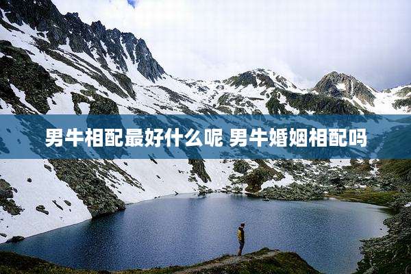 男牛相配最好什么呢 男牛婚姻相配吗