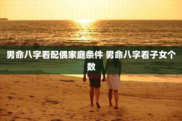 男命八字看配偶家庭条件 男命八字看子女个数