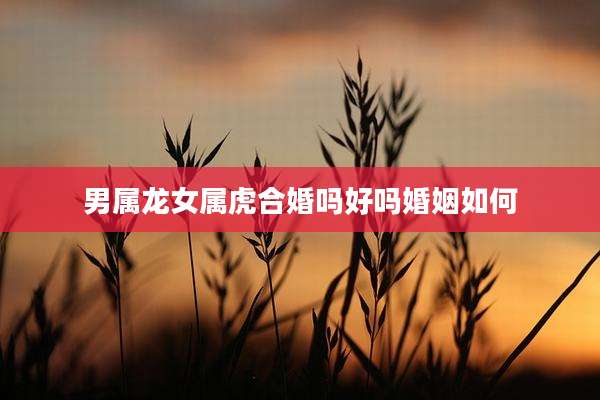 男属龙女属虎合婚吗好吗婚姻如何